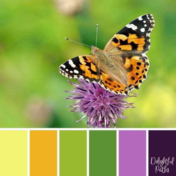 Butterfly On A Purple Flower Color Palette Inspiration