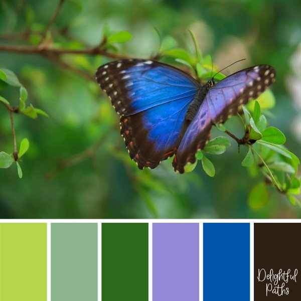 Blue Butterfly On A Bush Color Palette Inspiration