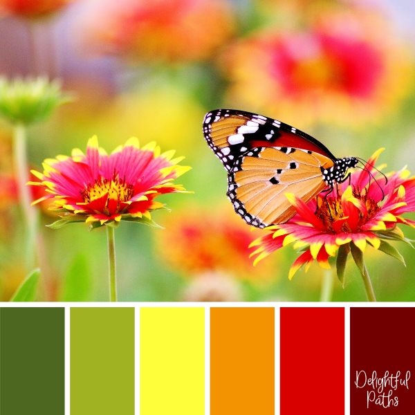 Butterfly On Red And Yellow Flowers Color Palette Inspiration