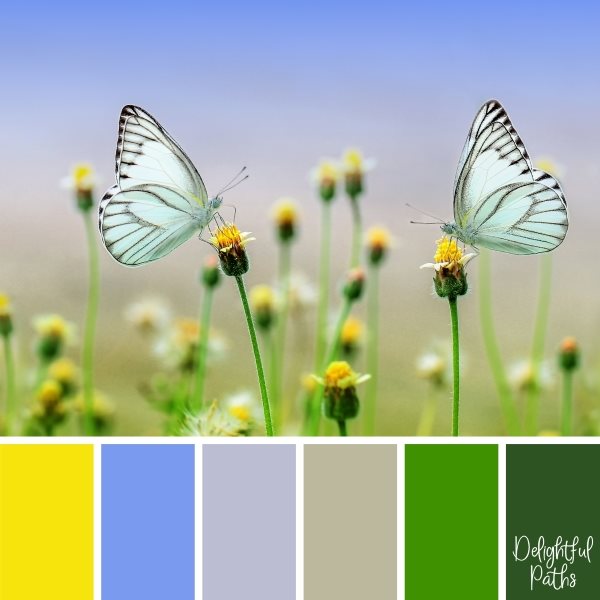 Pair Of White Butterflies In A Meadow Color Palette Inspiration