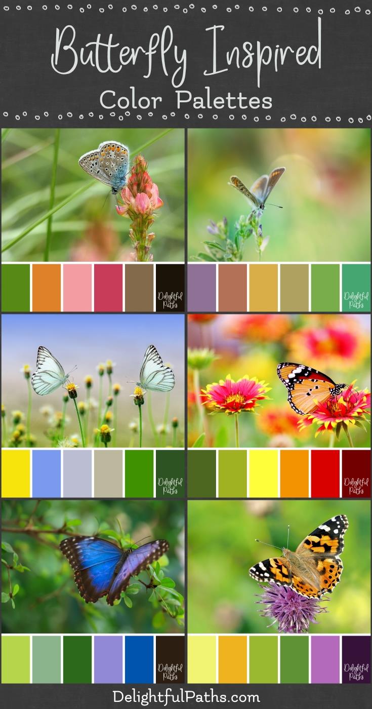 butterfly inspired color palettes | DelightfulPaths.com