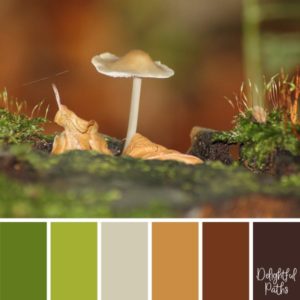 Fall / Autumn Inspired Color Palettes - Delightful Paths