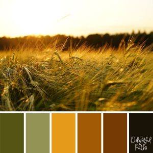 Harvest / Thanksgiving Inspired Color Palettes - Delightful Paths