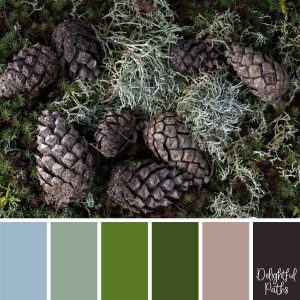 Rustic Inspired Color Palettes - Delightful Paths