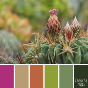 Succulent Inspired Color Palettes - Delightful Paths