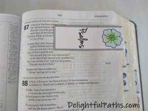 My Favorite Bible Reading Plan (Professor Horner's) - Delightful Paths