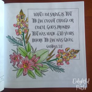 Galatians 3-17 Coloring Book for Adults DelightfulPaths