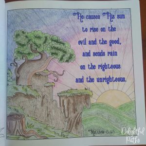 Sermon on the Mount Bible Coloring Book DelightfulPaths Mat 5-45