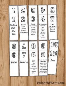 My Favorite Bible Reading Plan (Professor Horner's) - Delightful Paths